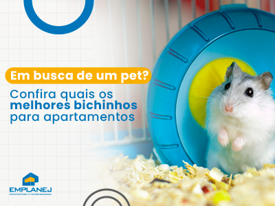 [BLOG]_Em_busca_de_um_pet__02